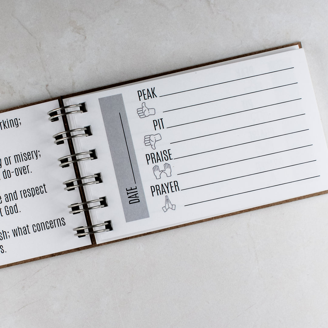 Bulk Christian Gifts - Daily Journal to Record Each Day's Peak, Pit, Praise and Prayer