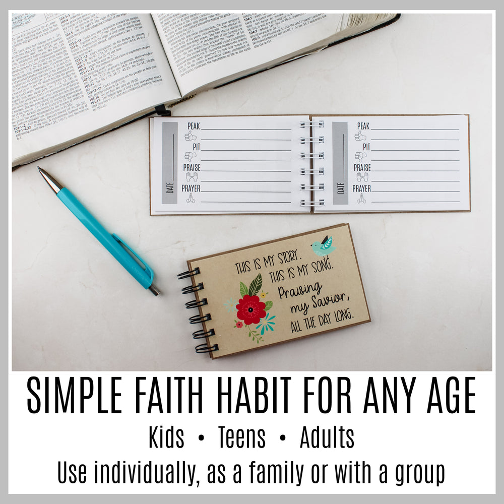 Bluebird guided Christian journal with Peak, Pit, Praise and Prayer pages for kids, teens and adults.