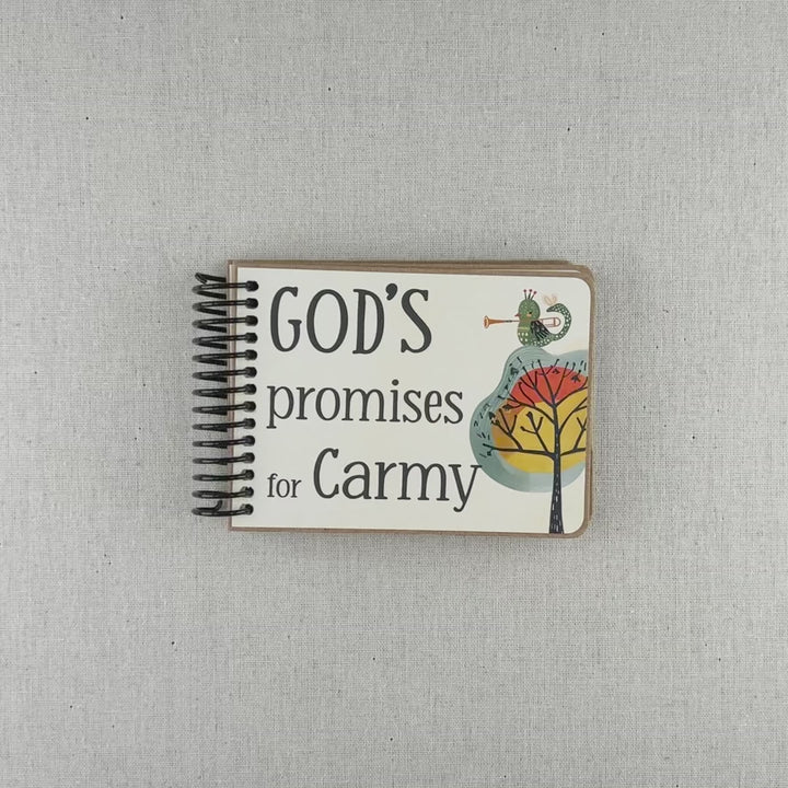 Musical Animals God’s Promises Book | Christian Book for Children